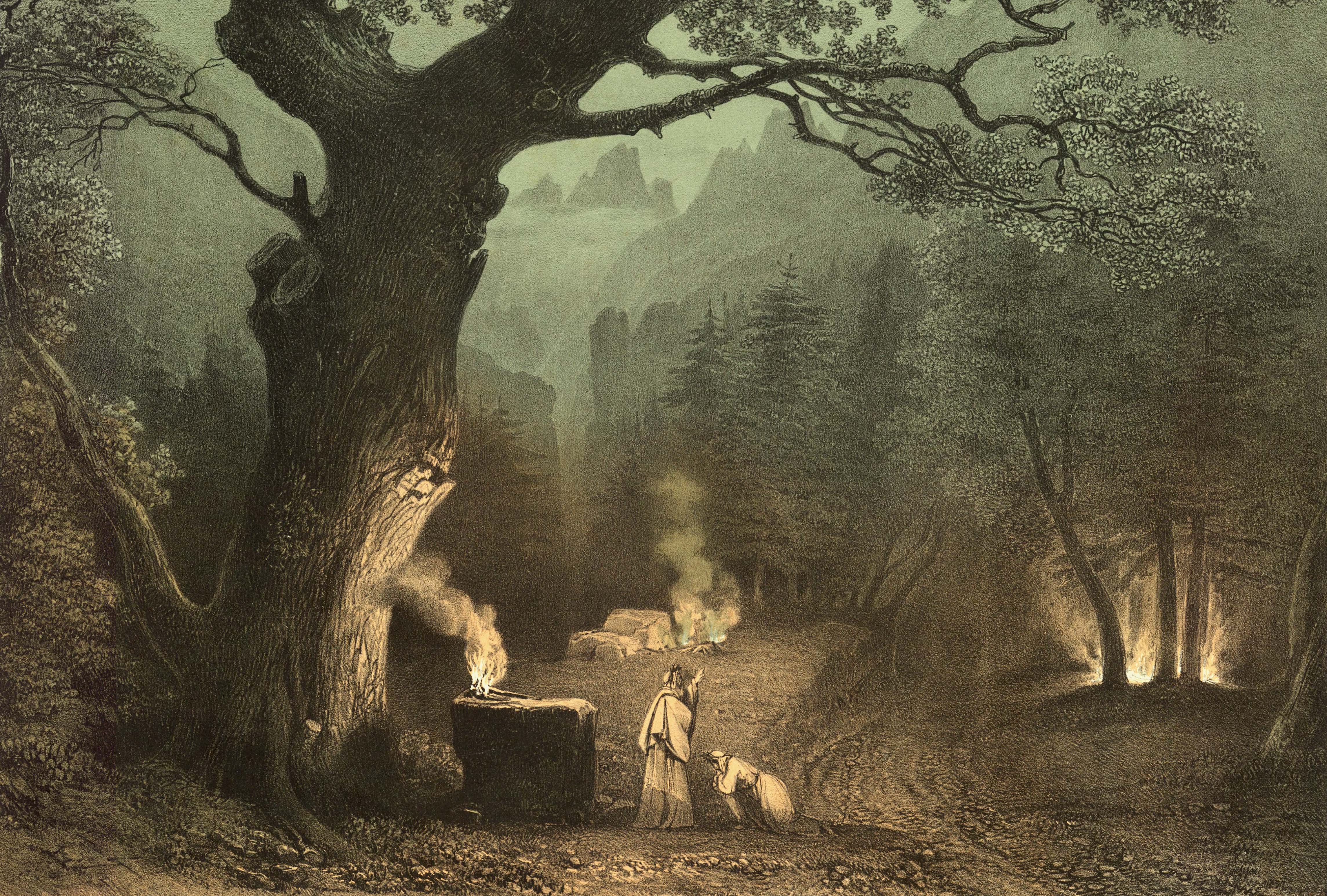 <em>Forêt des druides dans l'Opéra de Norma par Mr. Ferri</em>, dessin de Villeneuve (1835)